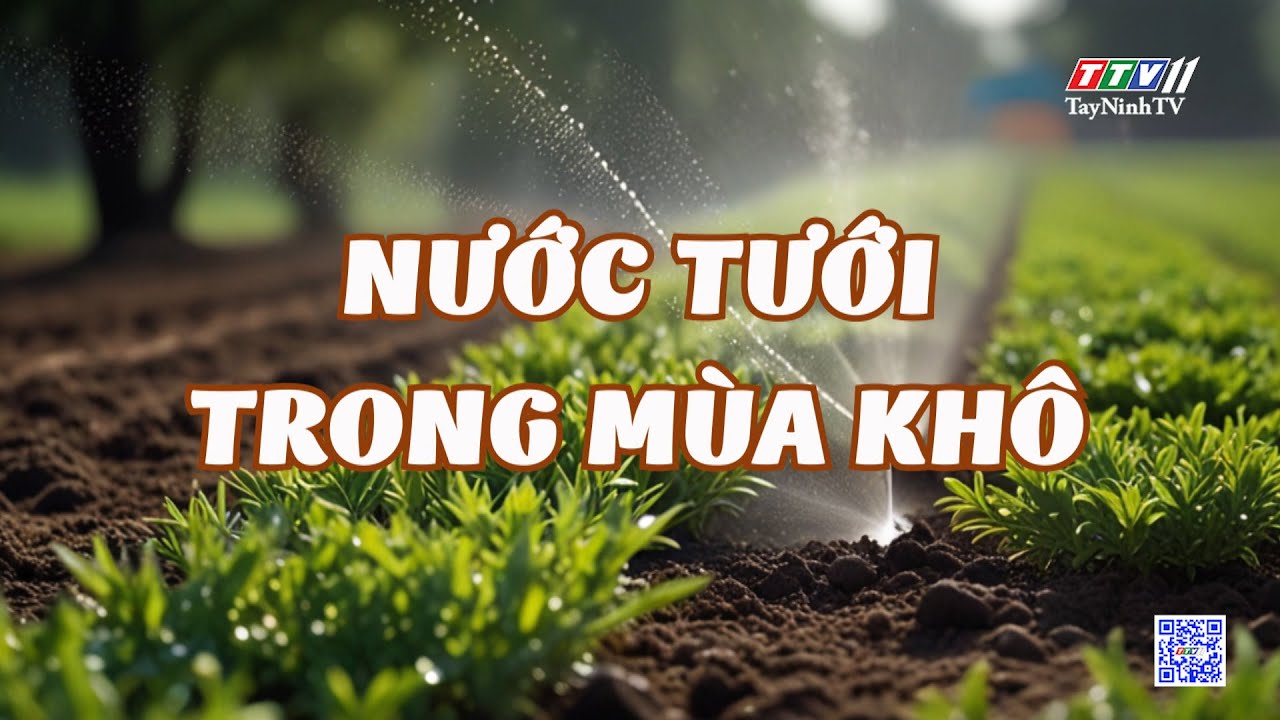 Nước tưới trong mùa khô | NÔNG NGHIỆP TÂY NINH | TayNinhTV